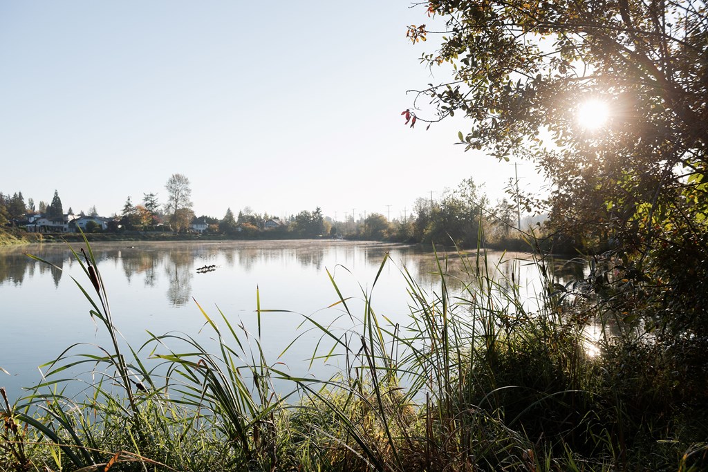 A serene lake surrounded by trees and grass with the sun shining through the branches.