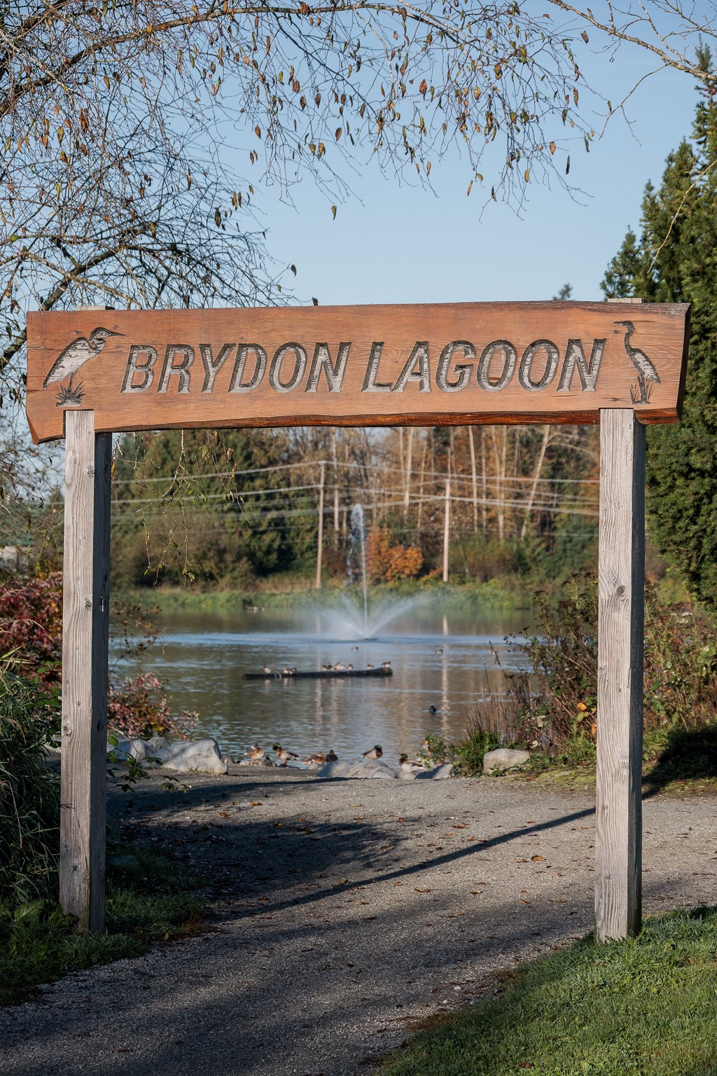 A wooden sign that says Brydon Lagoon stands in front of a body of water.