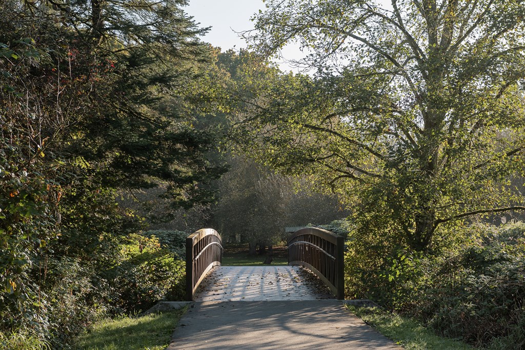 A bridge over a path surrounded by trees.