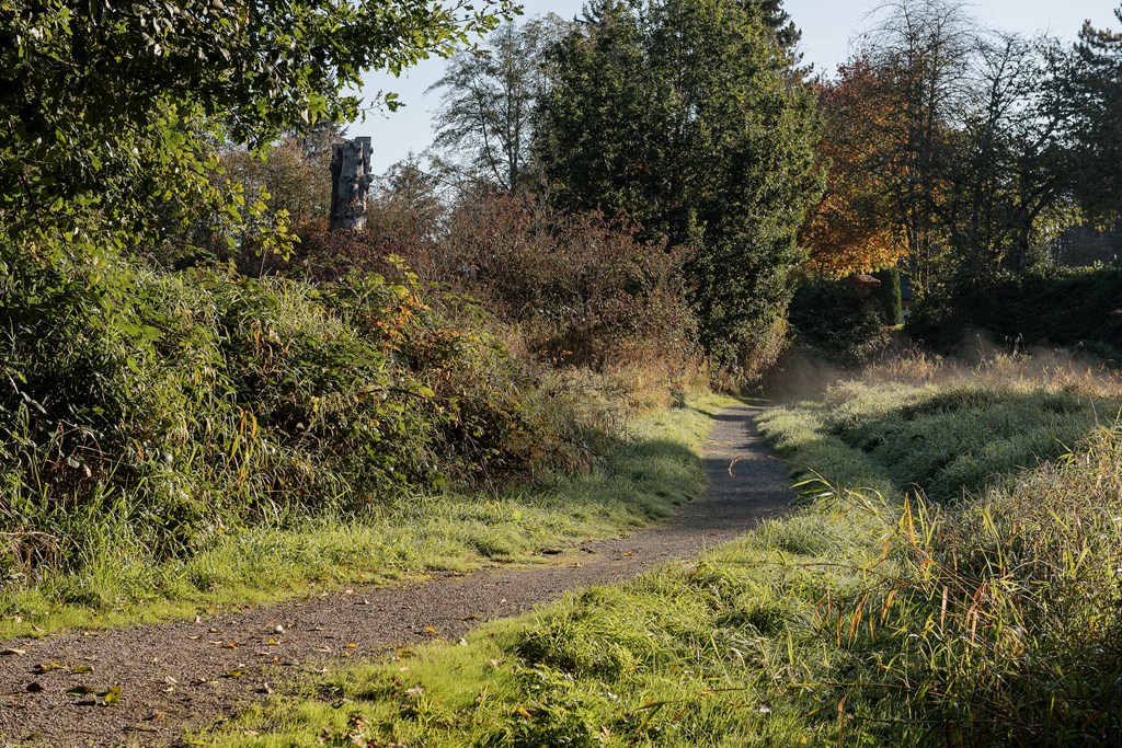 A dirt path winds through a lush green forest.