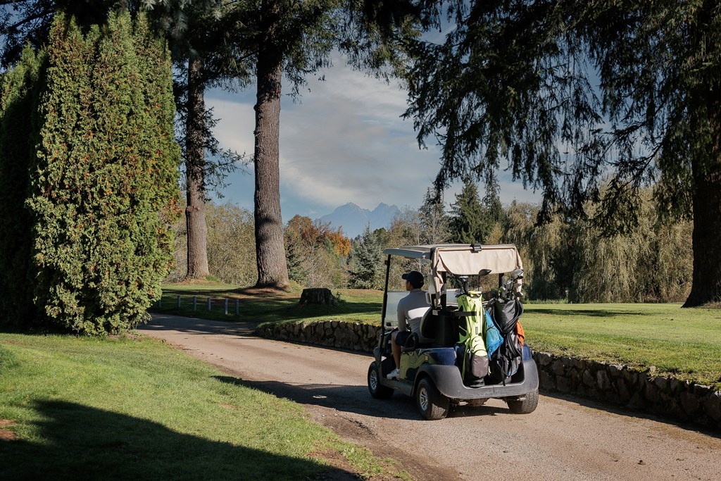A golf cart is driving down a path between trees.