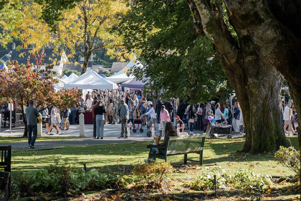 A park filled with people and trees.
