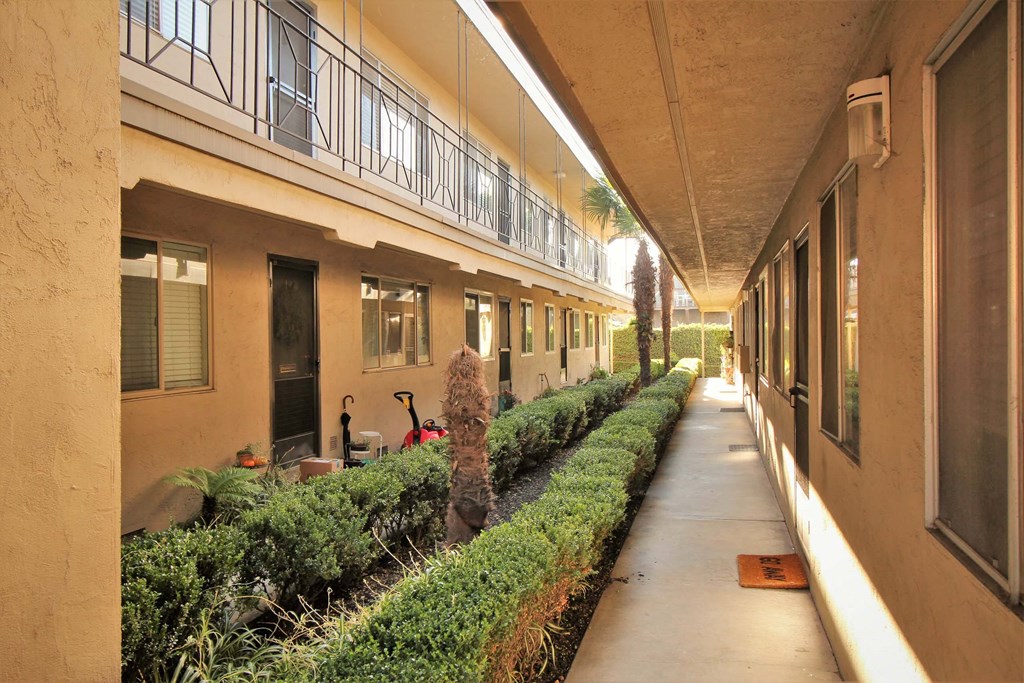 a long hallway with a row of hedges outside a building