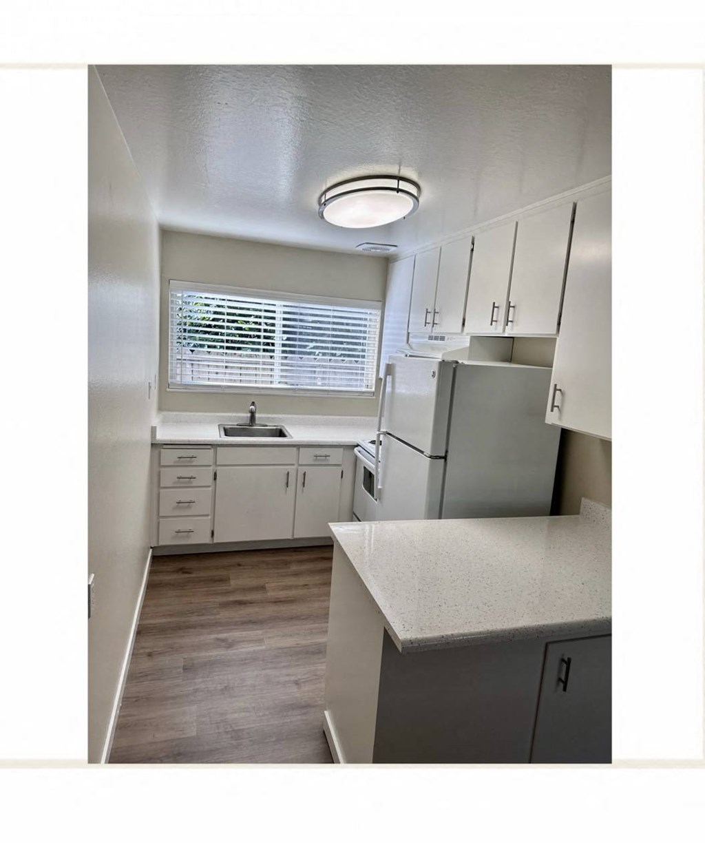a kitchen with a sink and a refrigerator