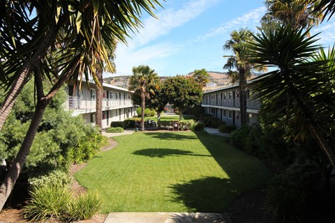 a yard with grass and palm trees in front of apartments