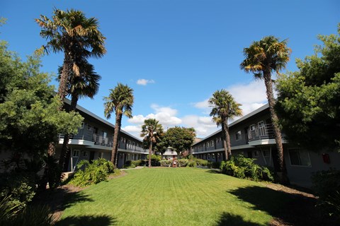 the courtyard of a hotel with a lawn and palm trees
