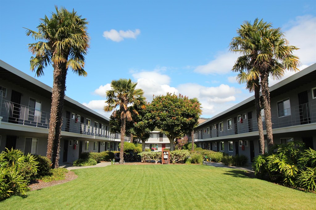 a yard in front of a building with palm trees