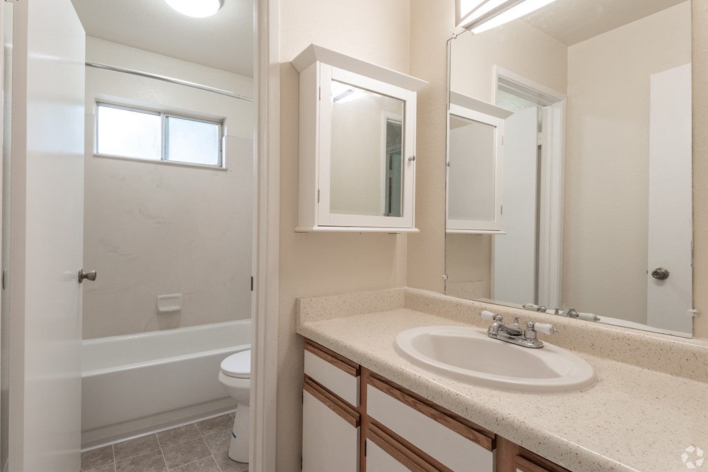 a bathroom with a sink and a mirror and a toilet