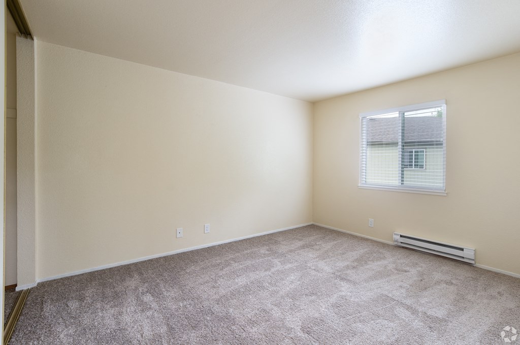 an empty living room with carpet and a window