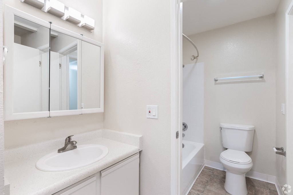 a bathroom with a sink toilet and a mirror