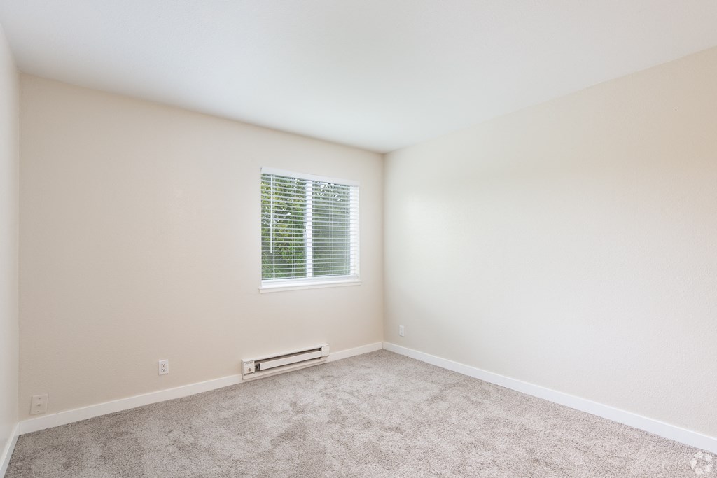 an empty room with carpet and a window