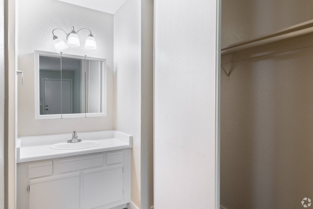 a bathroom with a sink and a mirror and a closet