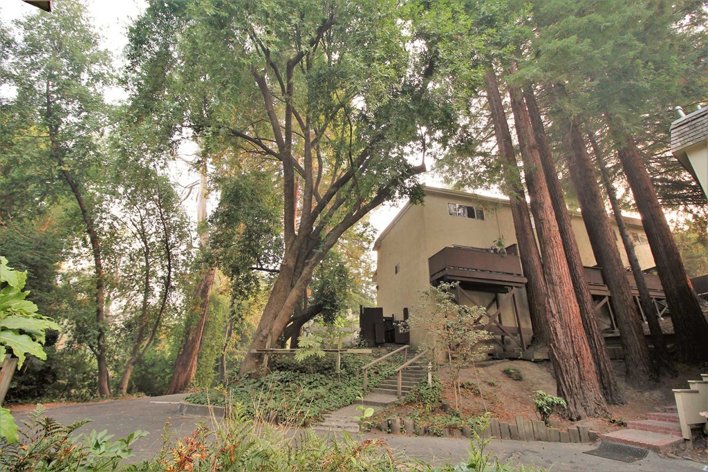 a house in the middle of a forest with trees