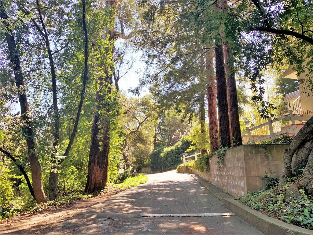 a street with trees and a house on the side of it