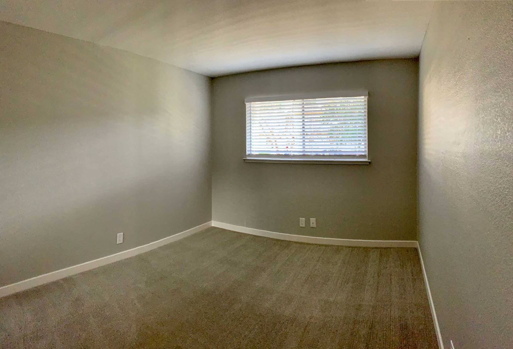 an empty room with a window and carpet
