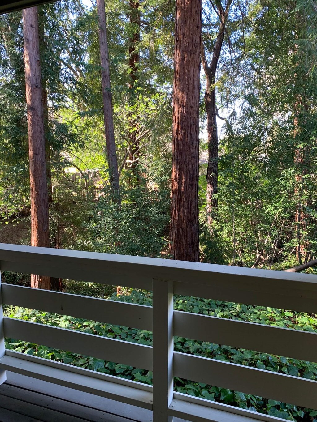 the view from the deck of a cabin with trees