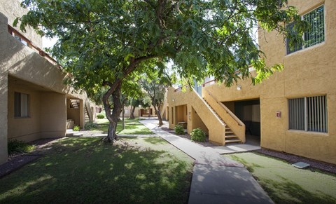 A tree in front of a building with a staircase.