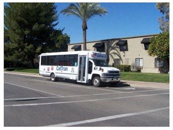 A white bus with the words "CatTran" on the side is parked in a lot.