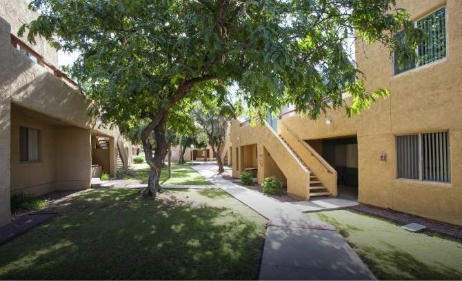 A tree in front of a building with a pathway leading to a staircase.