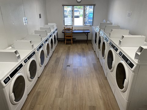 Darlinton Laundry Room