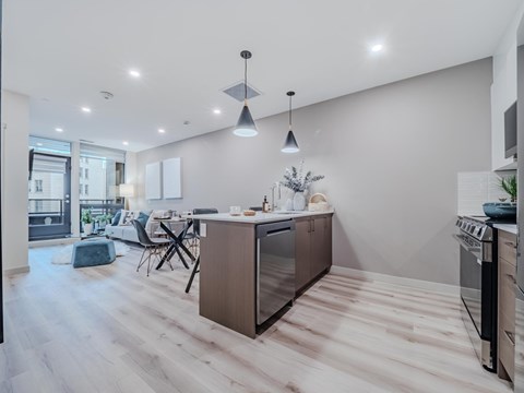 1 Bedroom, kitchen and living room