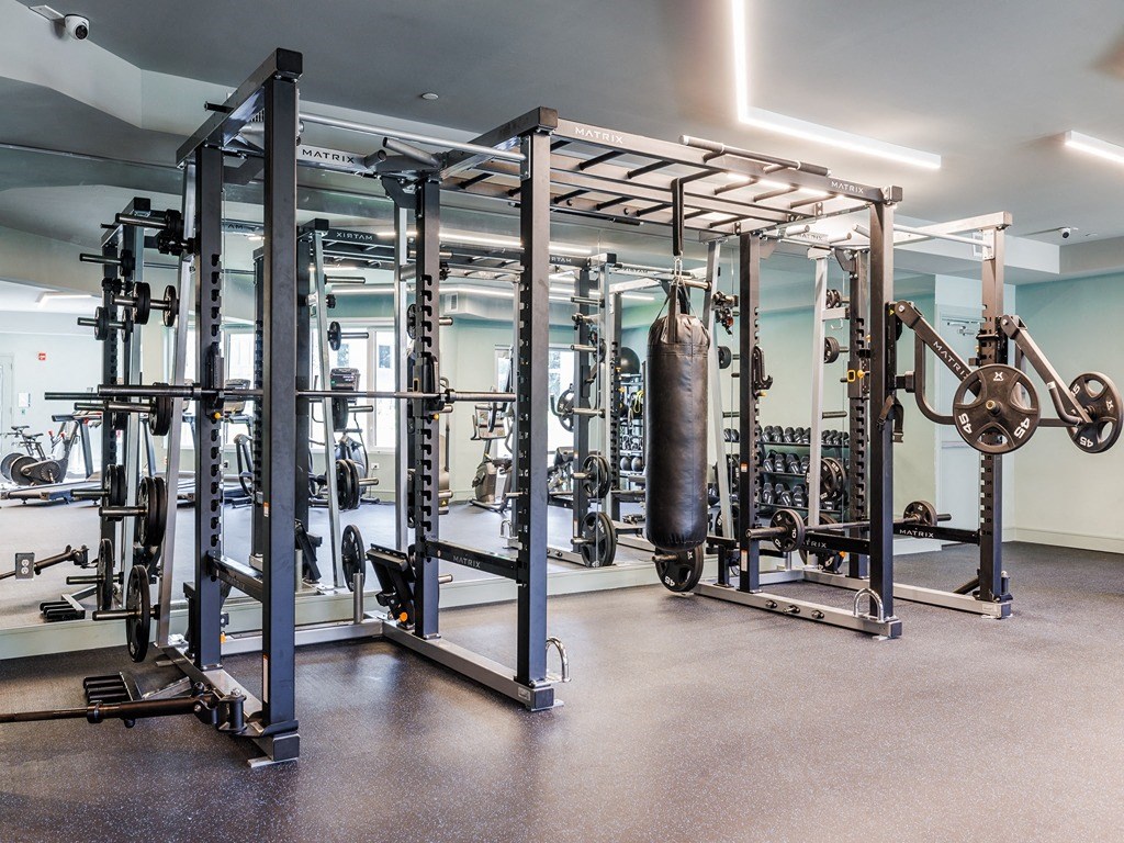 a gym with a lot of exercise equipment in it