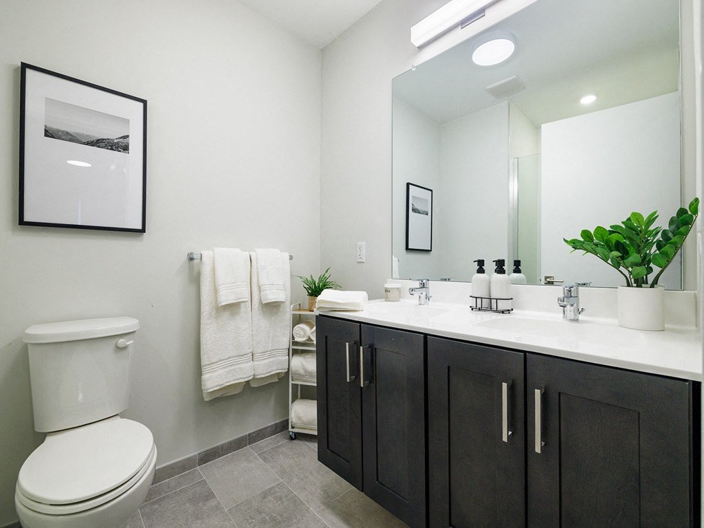 a bathroom with a toilet and a sink and a mirror