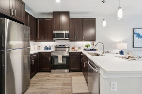 A modern kitchen with dark brown cabinets and stainless steel appliances.