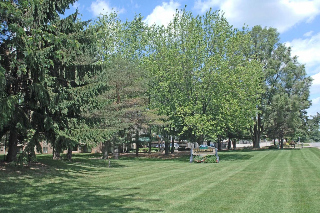 Beautiful Grounds Beautiful Grounds
