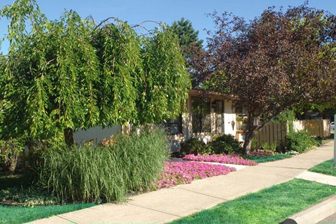 Beautiful Grounds Beautiful Grounds