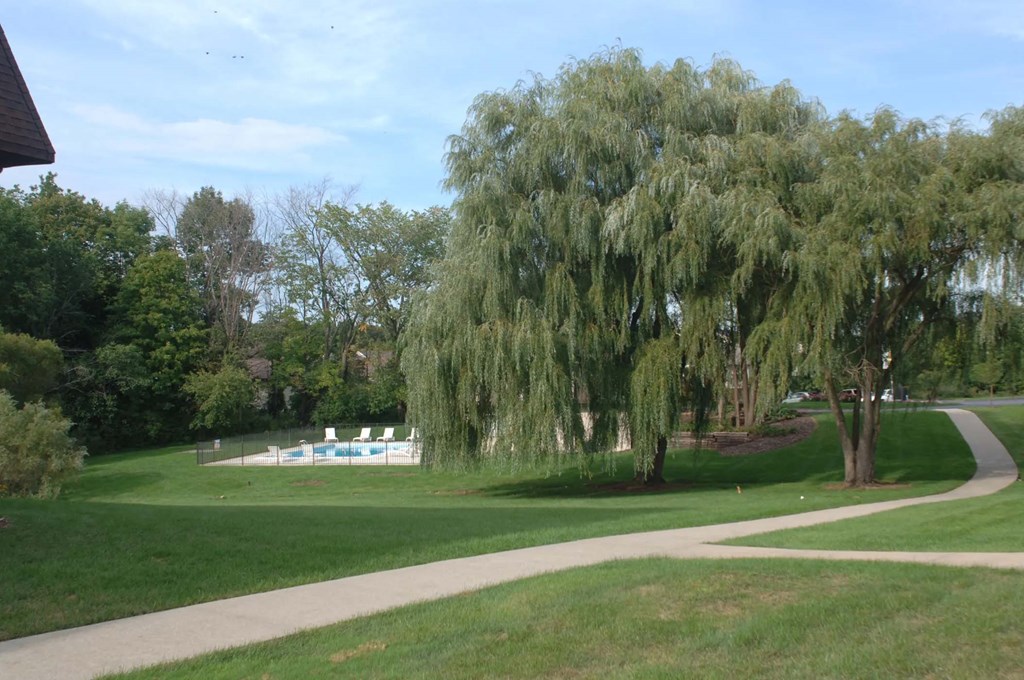 Beautiful Grounds Beautiful Grounds