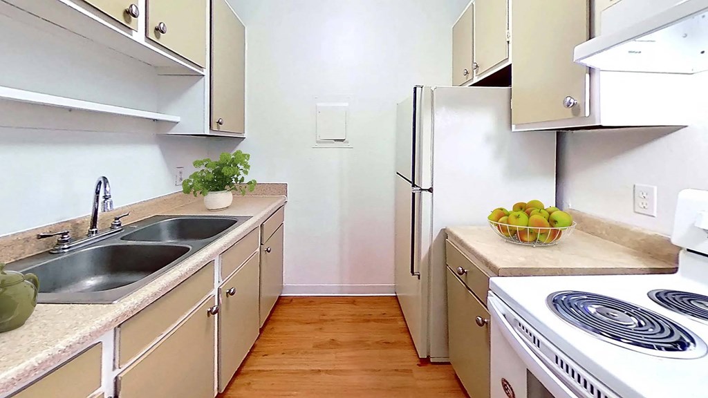 Kitchen Kitchen