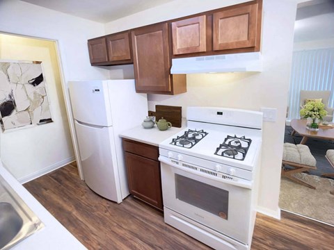 a kitchen with a stove and a refrigerator