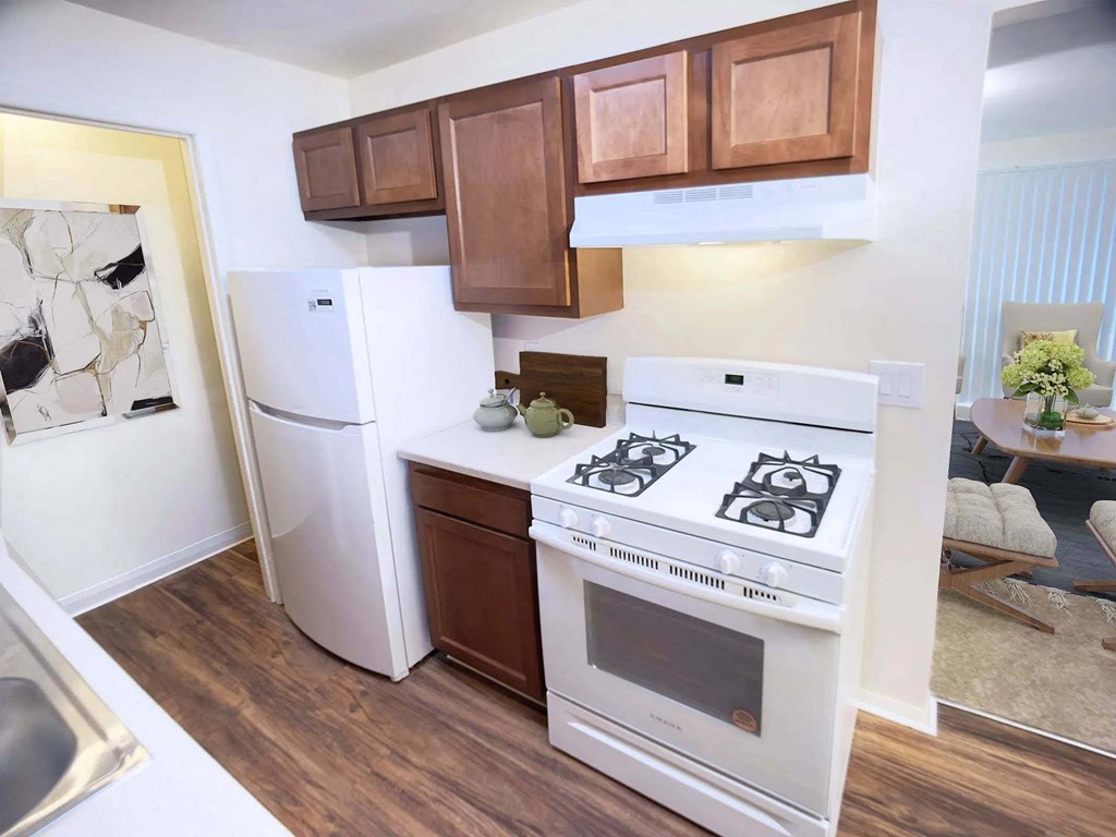 Kitchen Kitchen