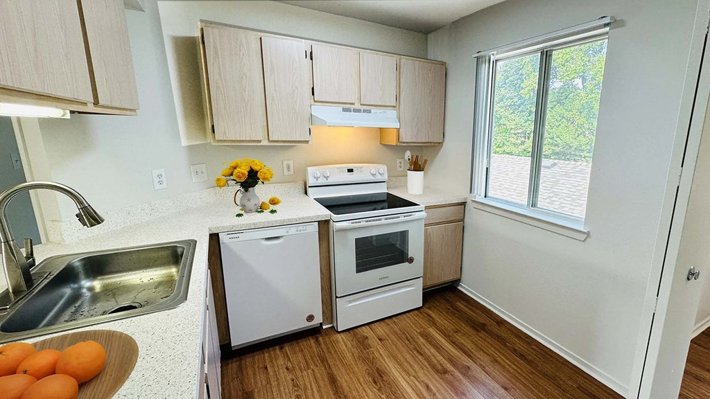 Kitchen Kitchen