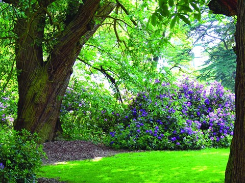 Beautiful Grounds