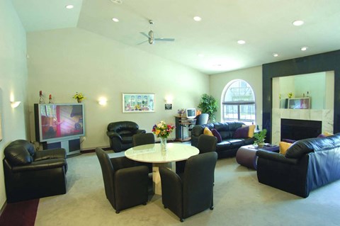 a living room with couches and chairs and a tv