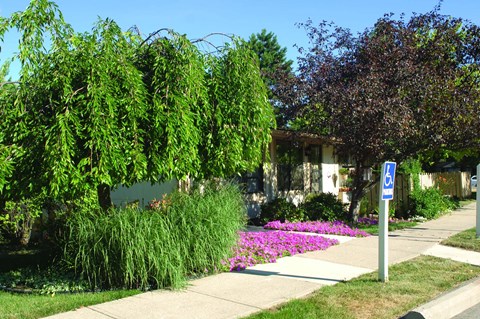 Beautiful Grounds