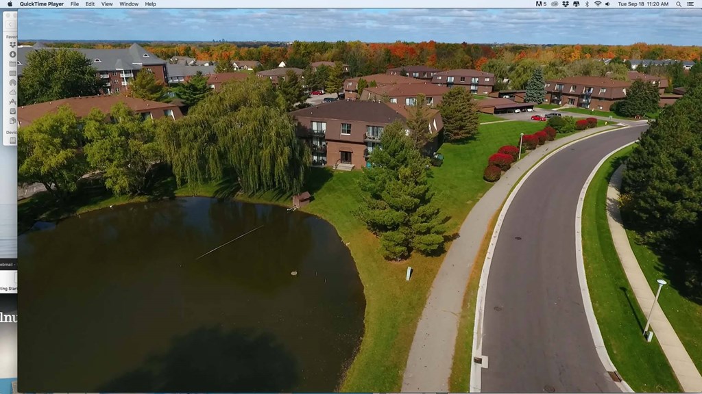 Aerial View of Community