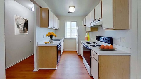 a kitchen with a counter and a stove and a window