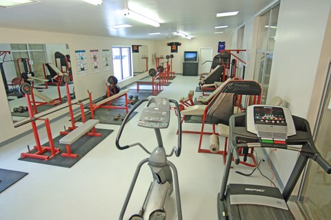 A gym with treadmills, exercise bikes and other equipment.