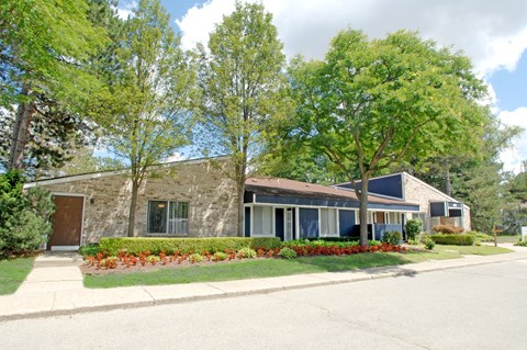 A house with a brown door and a large tree in front.