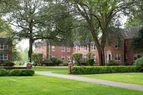 A large tree stands in front of a red brick building.