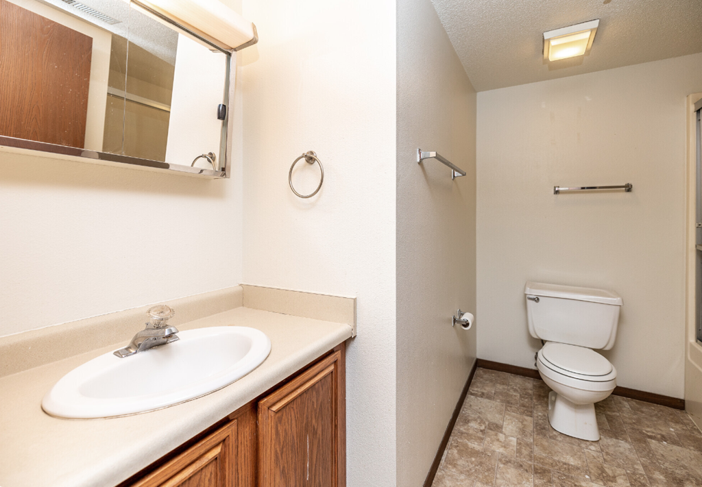 a bathroom with a toilet and a sink and a mirror