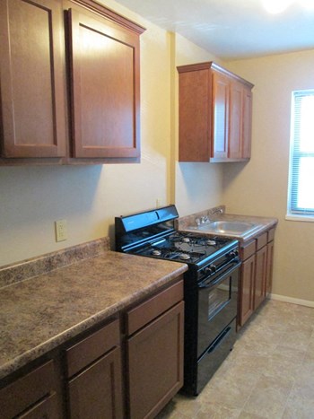 5303 Lucas & Hunt Road Studio-2 Beds Apartment for Rent - Photo Gallery 5