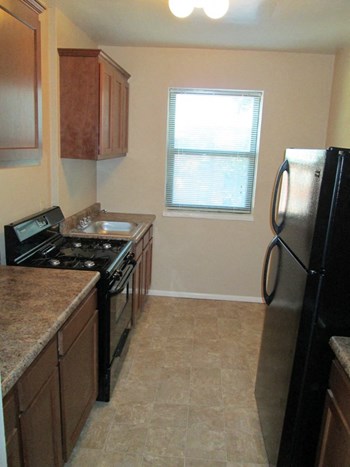 5303 Lucas & Hunt Road Studio-2 Beds Apartment for Rent - Photo Gallery 4