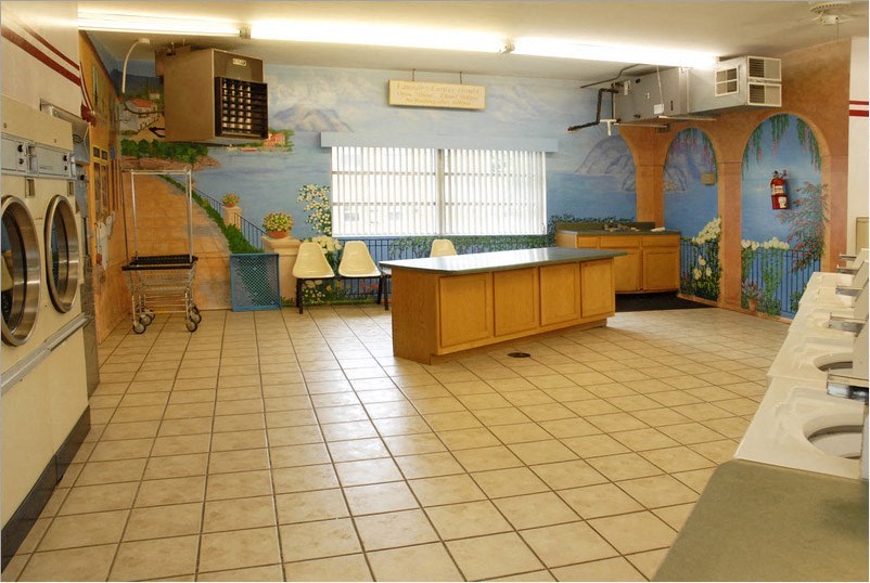 a laundry room with a mural on the wall
