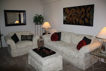 5303 Lucas & Hunt Road Studio-2 Beds Apartment for Rent - Photo Gallery 2