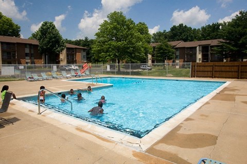 A group of people are swimming in a pool.