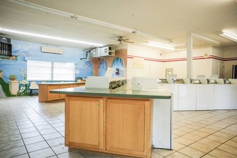 A kitchen with a counter and cabinets.